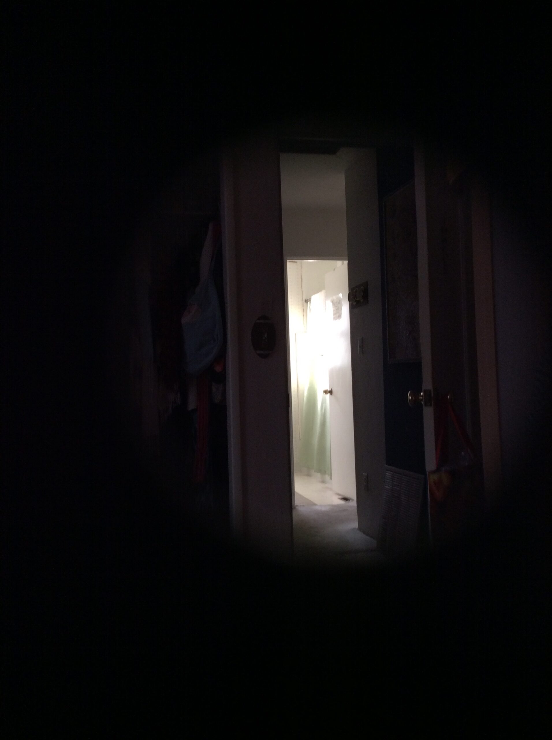 View from a dark room looking into a brightly lit bathroom with a shower curtain, partially obscured by a dark circular frame.