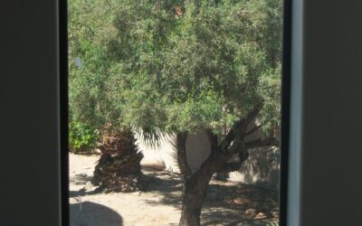 Week Five- Invitation to create