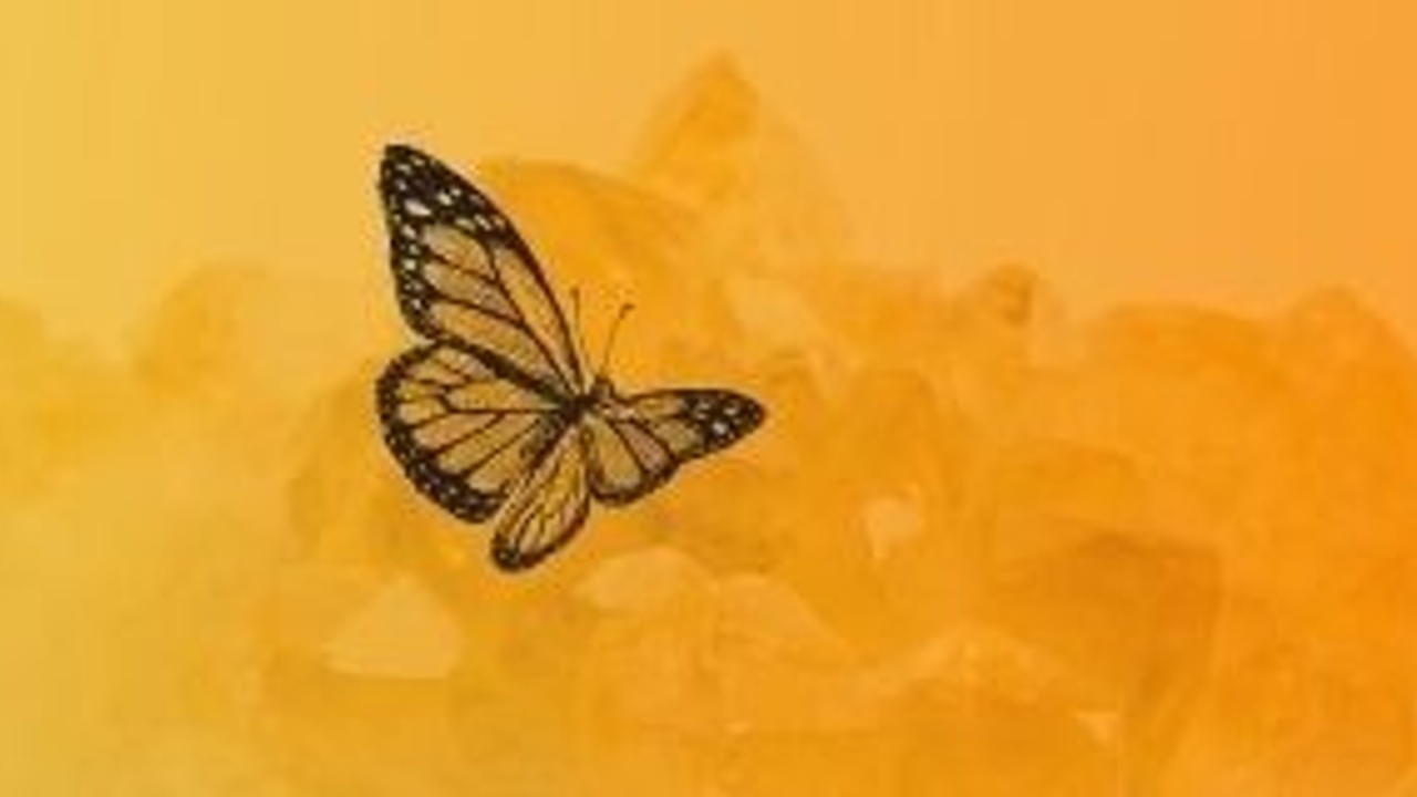 A black and white butterfly against a gradient orange background, resembling the texture of crystals or stones.